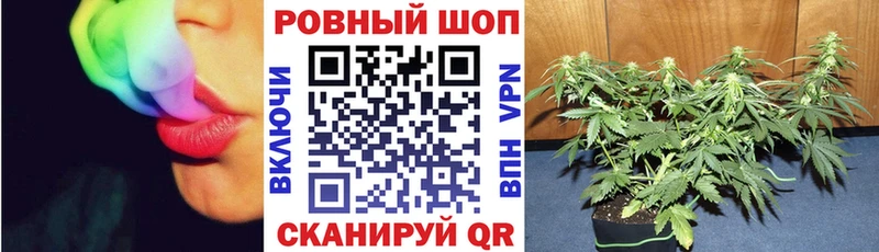 Где можно купить наркотики Кирсанов Амфетамин СК Гашиш Меф Бошки Шишки