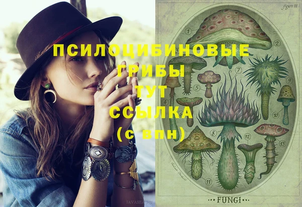 кокаин перу Богданович
