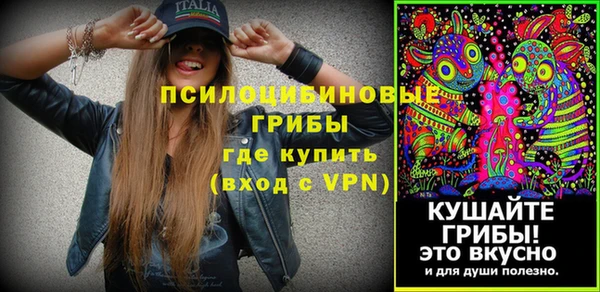 MDMA Богородицк