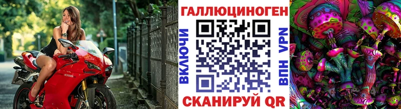 Галлюциногенные грибы Psilocybine cubensis  ссылка на мегу зеркало  Кирсанов  наркотики 